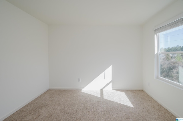 spare room with carpet floors