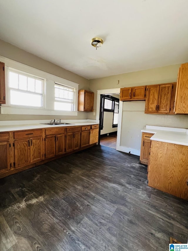 kitchen featuring dark hardwood / wood-style floors and sink