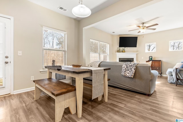 dining room featuring ceiling fan and wood-type flooring