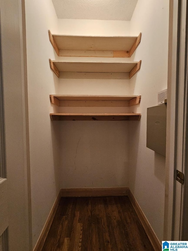 walk in closet featuring dark hardwood / wood-style flooring