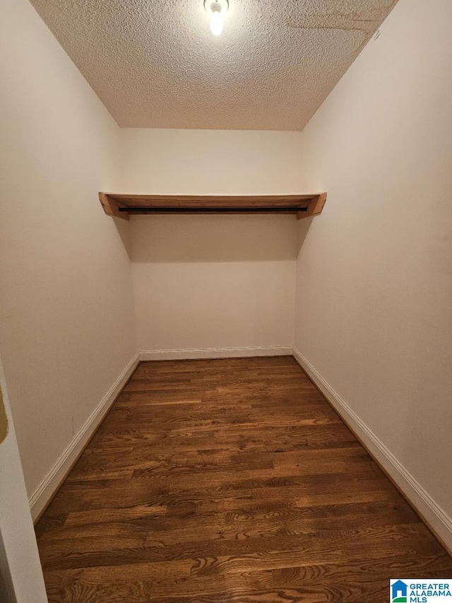 spacious closet with dark wood-type flooring