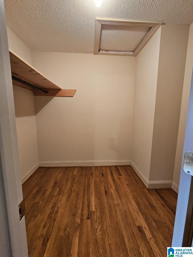 spacious closet featuring dark hardwood / wood-style floors