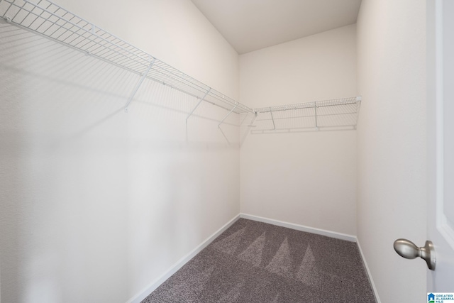 walk in closet with dark colored carpet