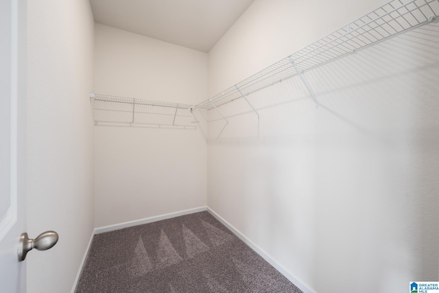 spacious closet with carpet