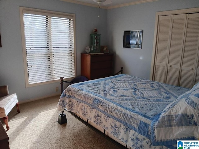 bedroom featuring ornamental molding, carpet floors, and a closet