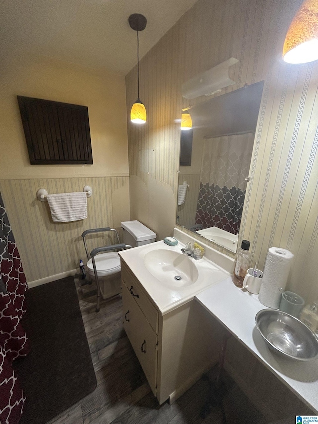 bathroom featuring hardwood / wood-style flooring, vanity, and toilet