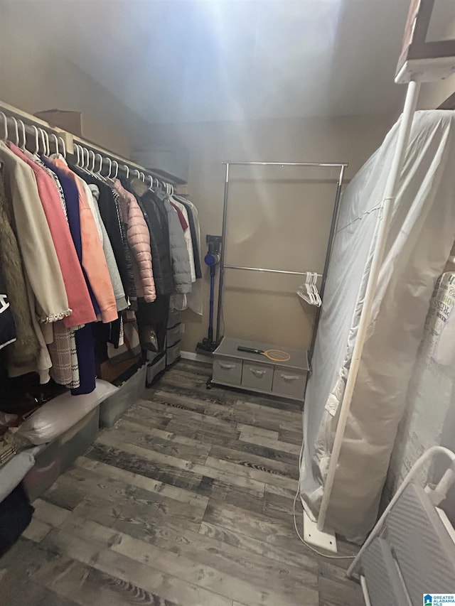 walk in closet featuring dark hardwood / wood-style flooring