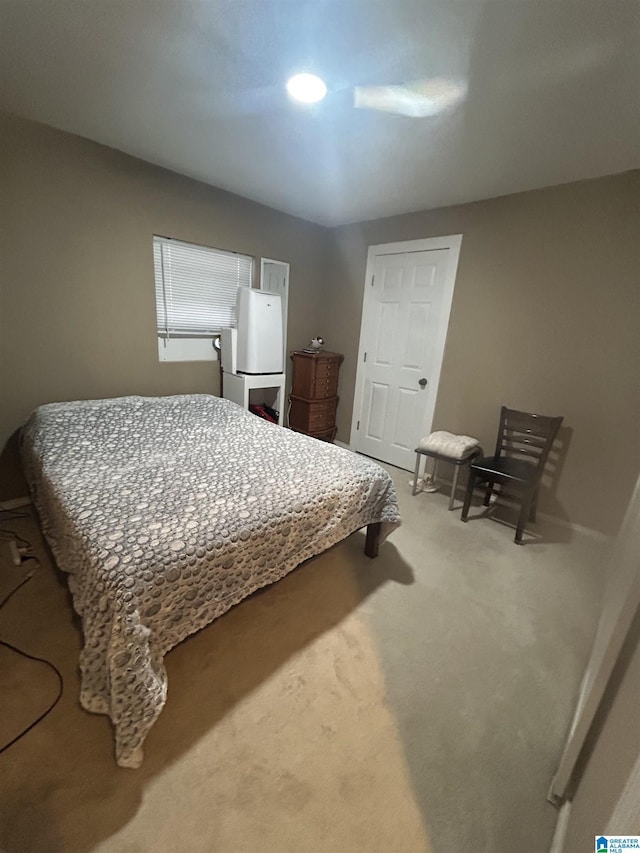 bedroom featuring carpet flooring