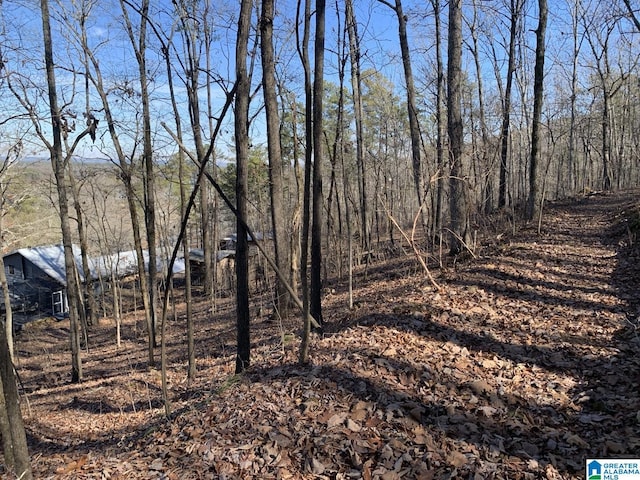 view of local wilderness