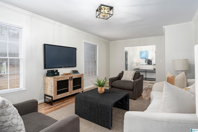 living room featuring ornamental molding and light wood-type flooring