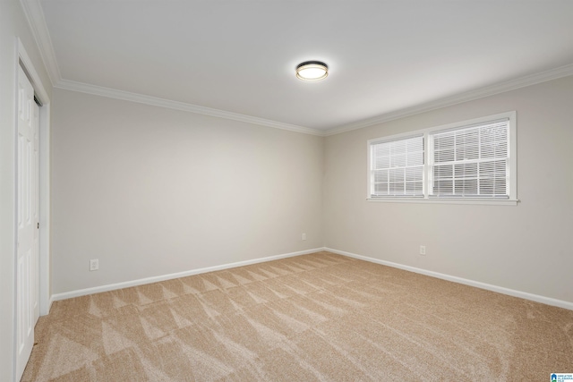 empty room featuring light colored carpet and ornamental molding