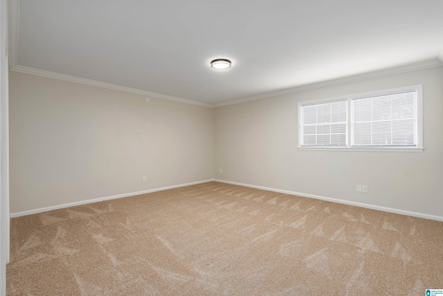 carpeted spare room with ornamental molding