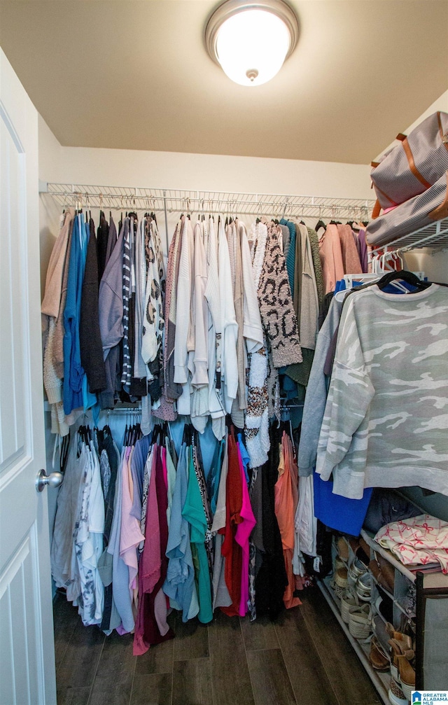 spacious closet with dark wood-type flooring