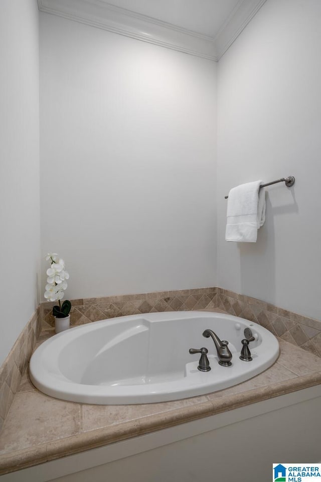 bathroom with ornamental molding and a washtub