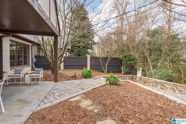 view of yard featuring a patio area