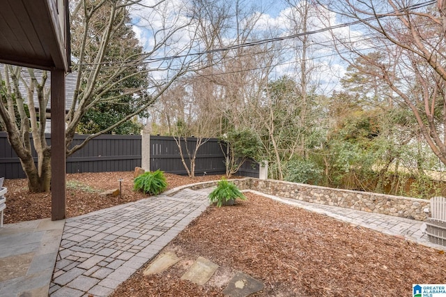 view of yard with a patio area