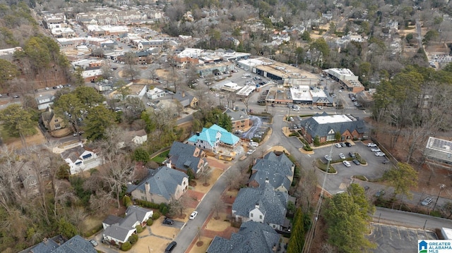 bird's eye view