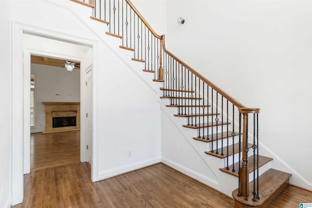 stairs with hardwood / wood-style floors