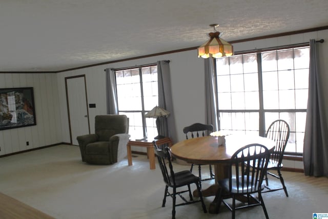 dining area with ornamental molding and a textured ceiling