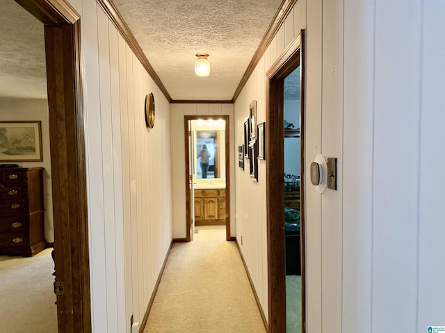 corridor featuring crown molding, light carpet, a textured ceiling, and wood walls