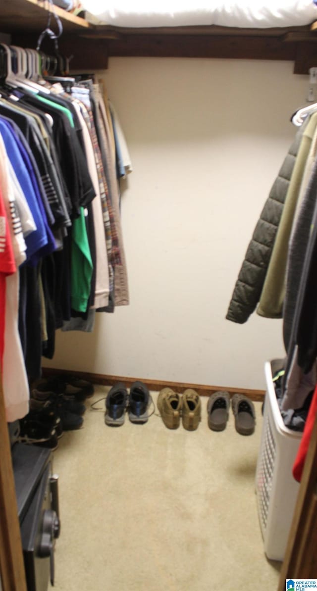 spacious closet featuring carpet flooring