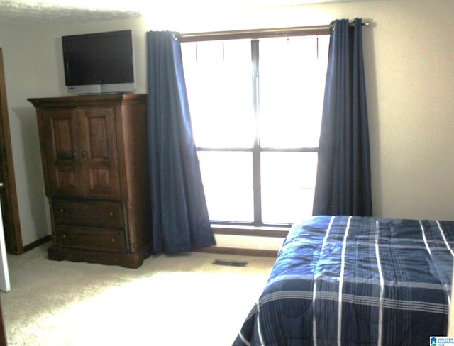 carpeted bedroom featuring multiple windows