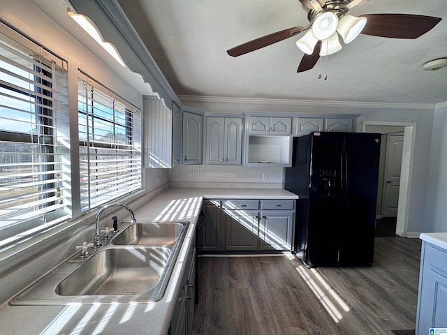 kitchen with sink, crown molding, gray cabinetry, dark hardwood / wood-style flooring, and black fridge with ice dispenser