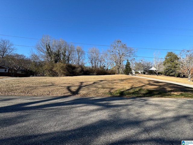 3rd Ave N Unit 4, Pell City AL, 35125 land for sale