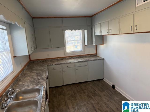 kitchen with sink and dark wood-type flooring