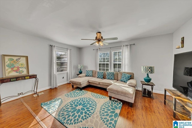 living room with ceiling fan, wood-type flooring, and a wealth of natural light