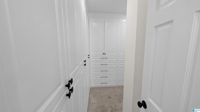 walk in closet featuring light colored carpet