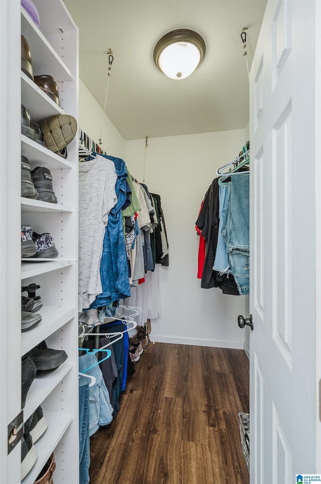 walk in closet with dark wood-type flooring