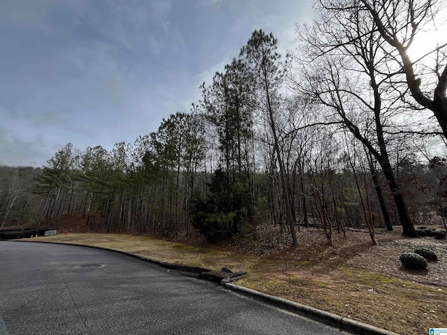 7011 Montrose Rd Unit 6, Hoover AL, 35242 land for sale