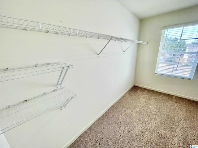 walk in closet with carpet