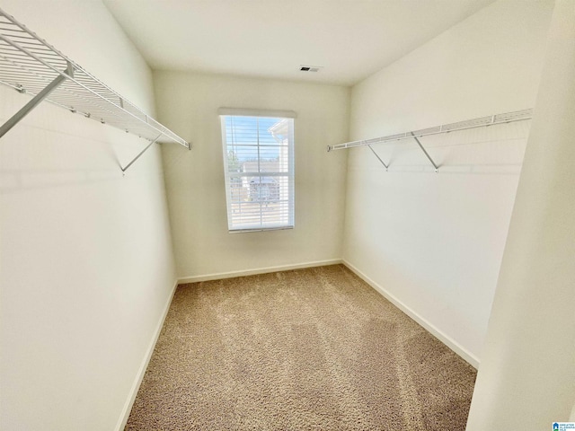 spacious closet featuring carpet floors