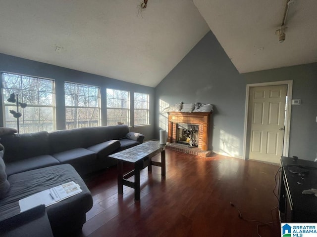 living room with a fireplace, dark hardwood / wood-style flooring, and vaulted ceiling