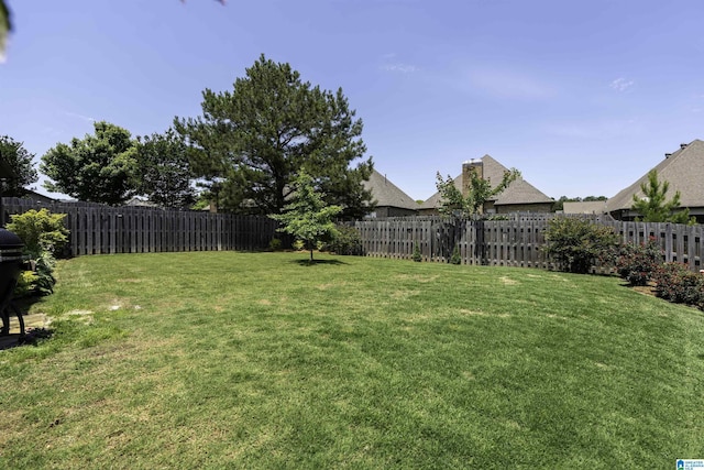 2020 Regent Park Ln, Birmingham, AL 35242 - view of yard