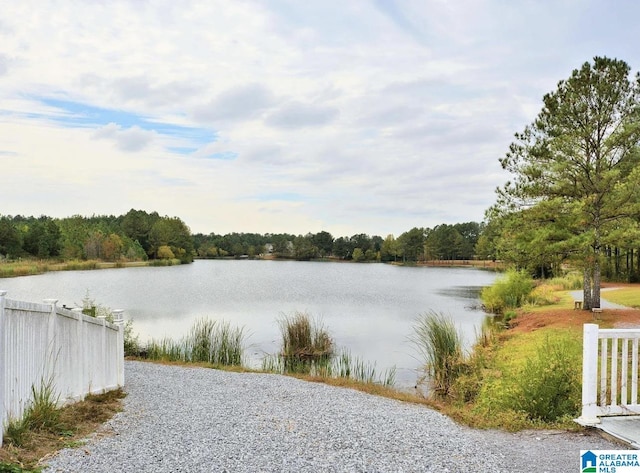 view of water feature