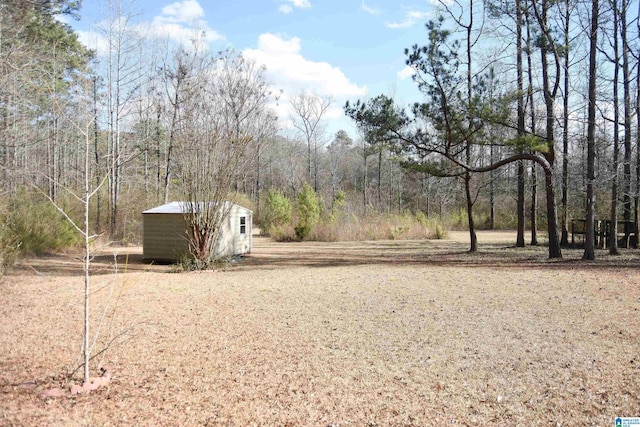 view of yard with a shed