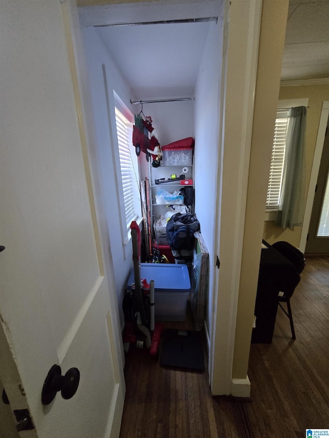 hall featuring dark wood-type flooring and ornamental molding