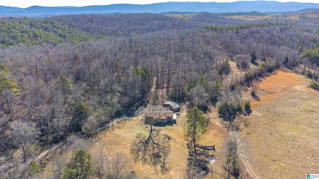 bird's eye view featuring a mountain view