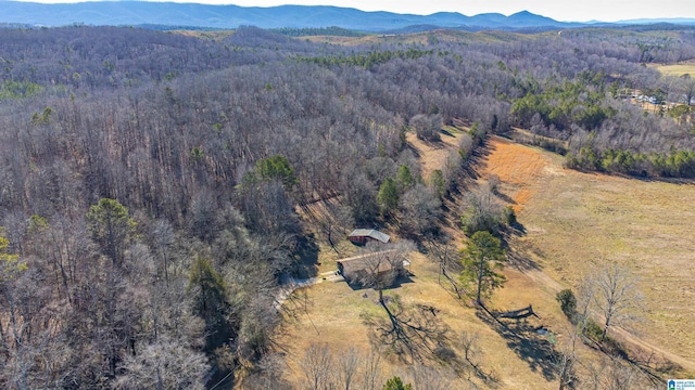 bird's eye view with a mountain view