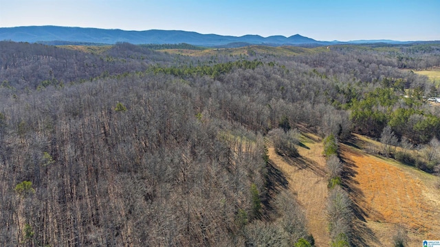 drone / aerial view featuring a mountain view