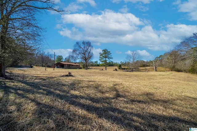 view of yard featuring a rural view