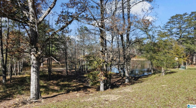 Listing photo 2 for 4511 Cabin Rd Unit 19, Bessemer AL 35022