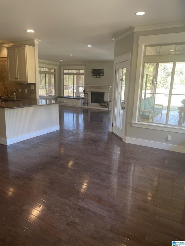 unfurnished living room with ornamental molding, dark hardwood / wood-style floors, and sink