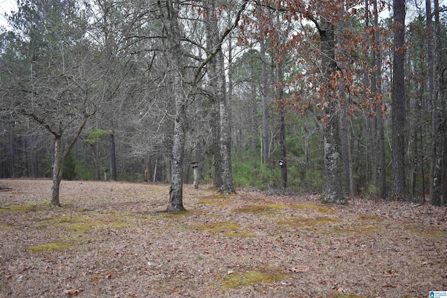 view of local wilderness