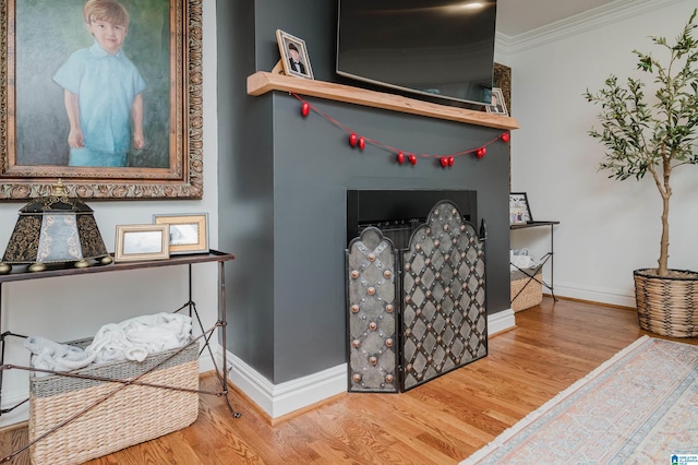 details featuring crown molding and wood-type flooring