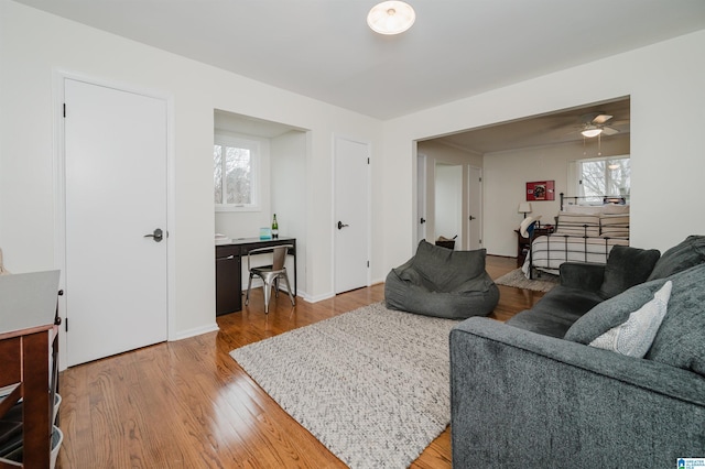 living room featuring hardwood / wood-style flooring and a wealth of natural light