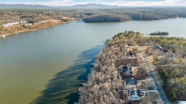 birds eye view of property with a water and mountain view